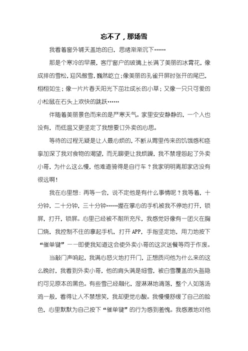 初三作文:忘不了,那场雪作文700字