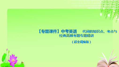 最新代词 中考英语语法专项复习(全国通用)(共66张PPT)教育课件