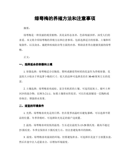 绿萼梅的养殖方法和注意事项