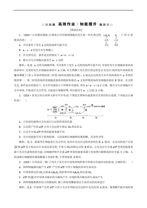 高考生物复习：第3单元 加强提升课(1) 光合作用与细胞呼吸综合应用