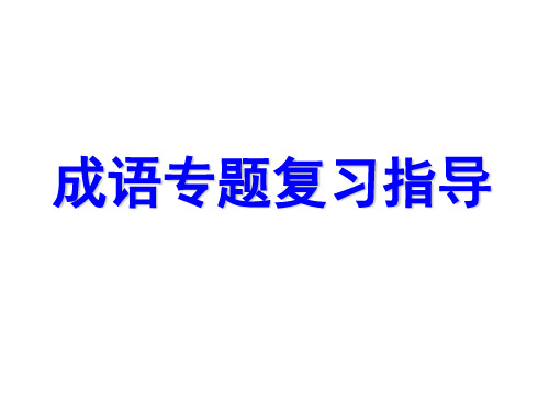 成语十种错误类型ppt课件