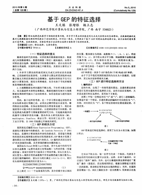 基于GEP的特征选择