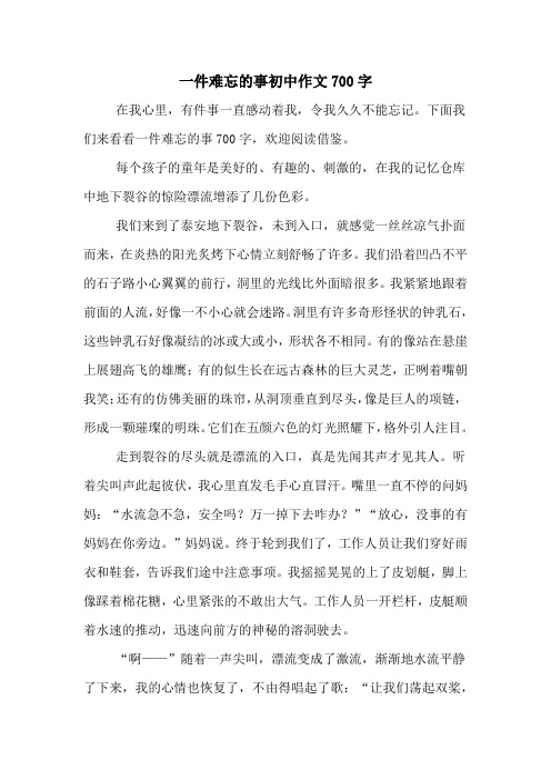 一件难忘的事初中作文700字