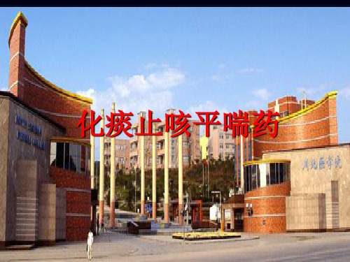 13.化痰止咳平喘药