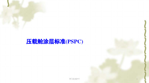 压载舱涂层标准(PSPC)简介ppt课件