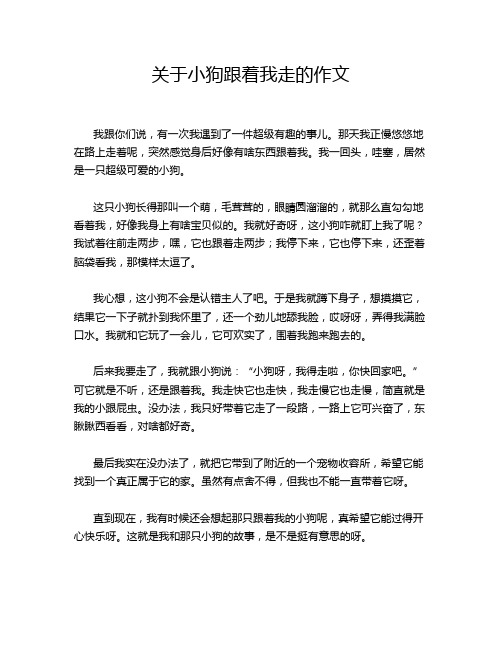 关于小狗跟着我走的作文