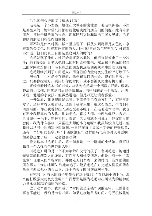 最新毛毛读书心得