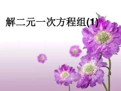 解二元一次方程组1--江苏教育版