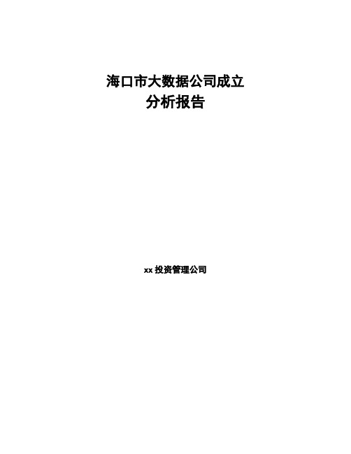 海口市大数据公司成立分析报告