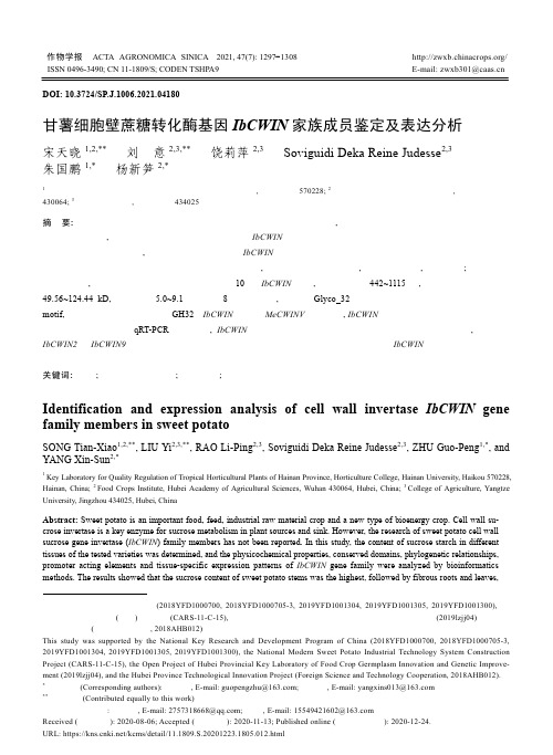 甘薯细胞壁蔗糖转化酶基因IbCWIN家族成员鉴定及表达分析