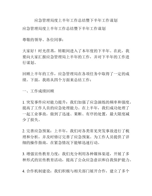 应急管理局度上半年工作总结暨下半年工作谋划 - 副本