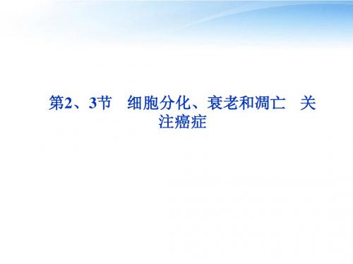 【优化方案】江苏专用2012高考生物总复习 第5章第2、3节细胞分化、衰老和凋亡关注癌症课件 苏教版必修1