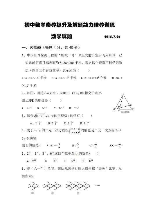 初中数学素养提升及解题能力培养数学试题及答案