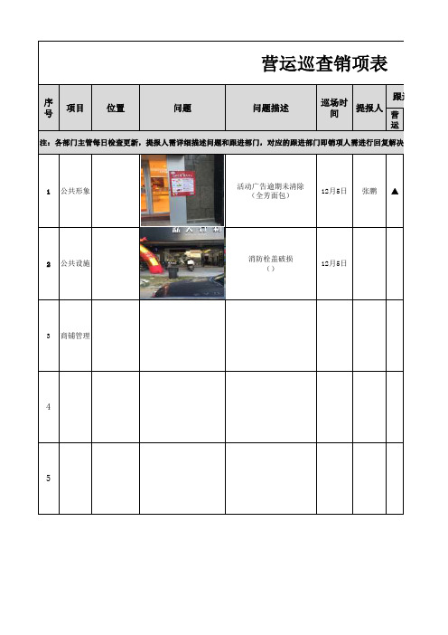 商场运营巡查销项表-