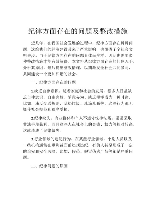 纪律方面存在的问题及整改措施