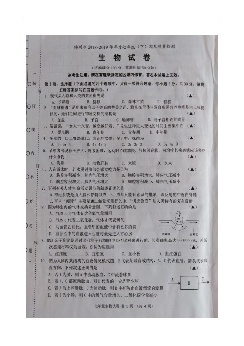 辽宁省锦州市2018-2019学年七年级下学期期末考试生物试题(扫描版)