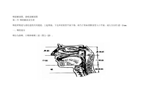 咽喉解剖