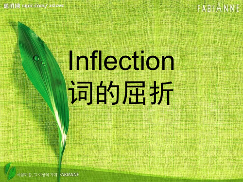 inflection_词的屈折(曲折)PPT精选文档