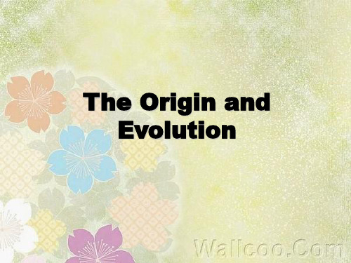 希腊罗马神话The origin