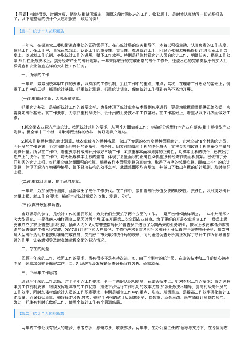 统计个人述职报告6篇