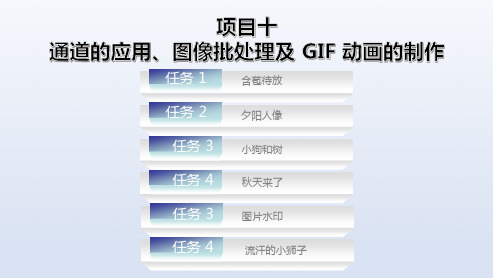 电子课件-《Photoshop平面设计与制作》-A06-4050项目十 通道的应用、图像批处理及 GIF 动画的制作