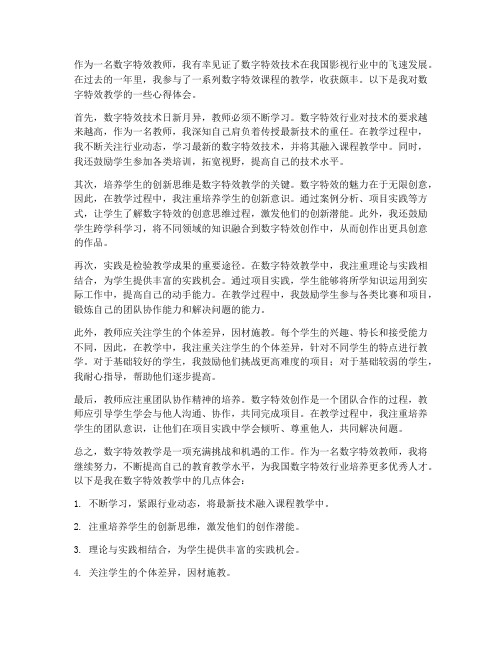 数字特效心得体会教师