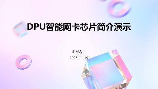 DPU智能网卡芯片简介演示