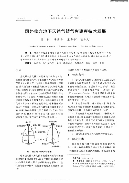 国外盐穴地下天然气储气库建库技术发展