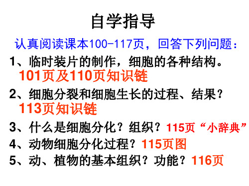 冀少版七年级上第一单元第一章开启生物科学之门ppt