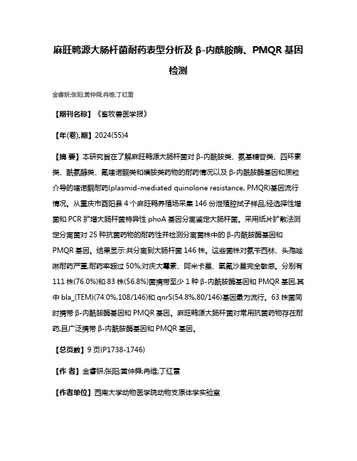 麻旺鸭源大肠杆菌耐药表型分析及β-内酰胺酶、PMQR基因检测