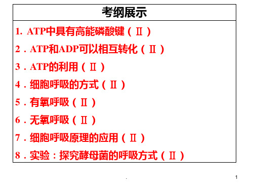 高三生物一轮复习----ATP-细胞呼吸