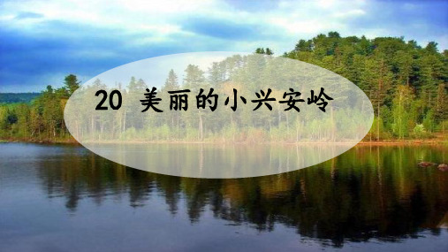 20 美丽的小兴安岭(课件)(共24张PPT)