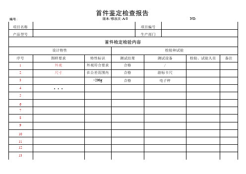 GJB-QR-13-33首件鉴定检查报告