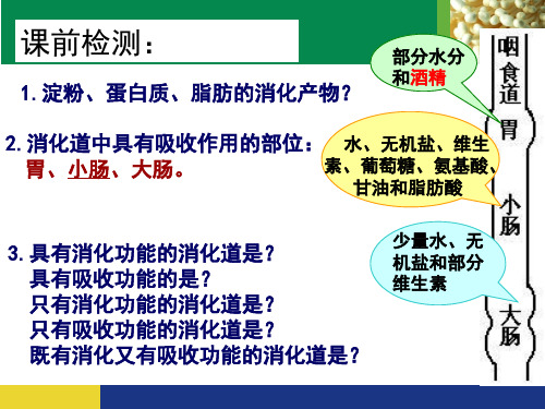 北师大版七年级下册8.3合理膳食和食品安全 课件