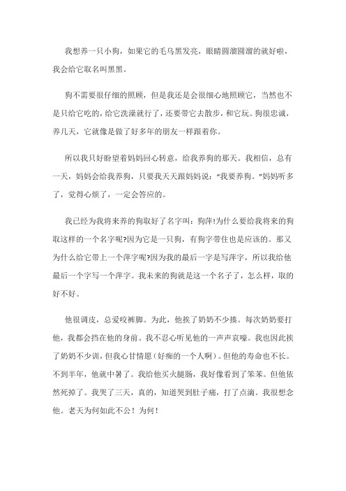 我想养一只小狗作文三年级