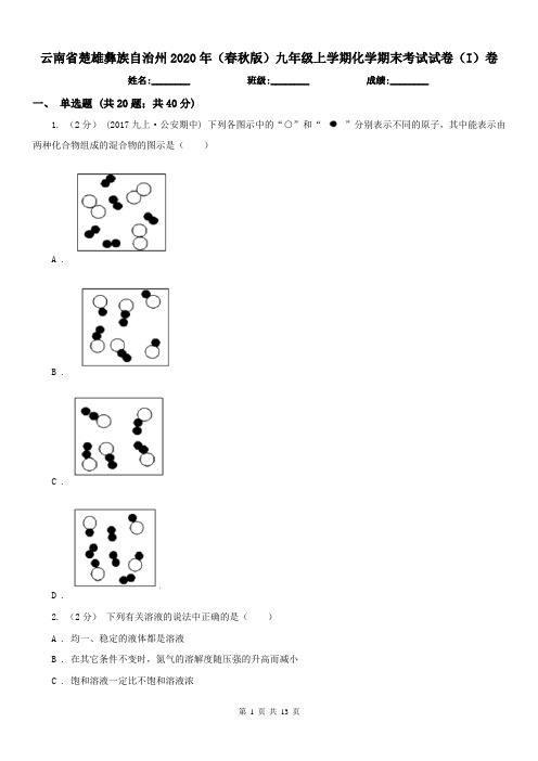 云南省楚雄彝族自治州2020年(春秋版)九年级上学期化学期末考试试卷(I)卷