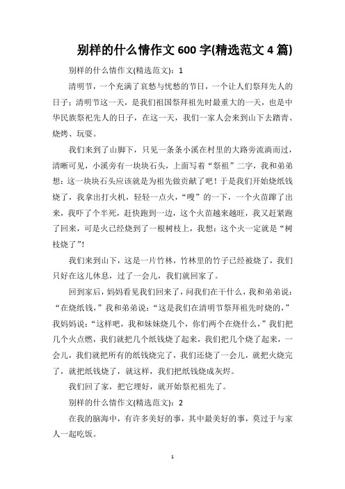 别样的什么情作文600字(精选范文4篇)