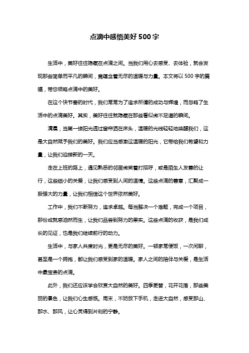 点滴中感悟美好500字