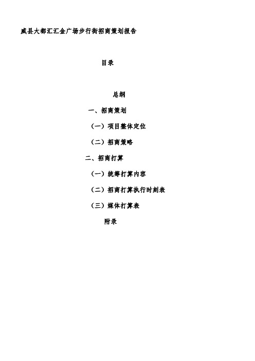 步行街招商业态组合及策划分析报告