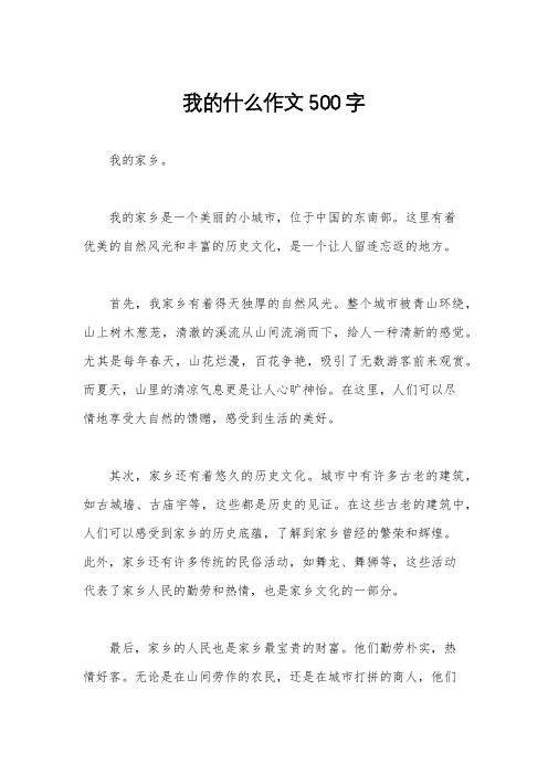 我的什么作文500字