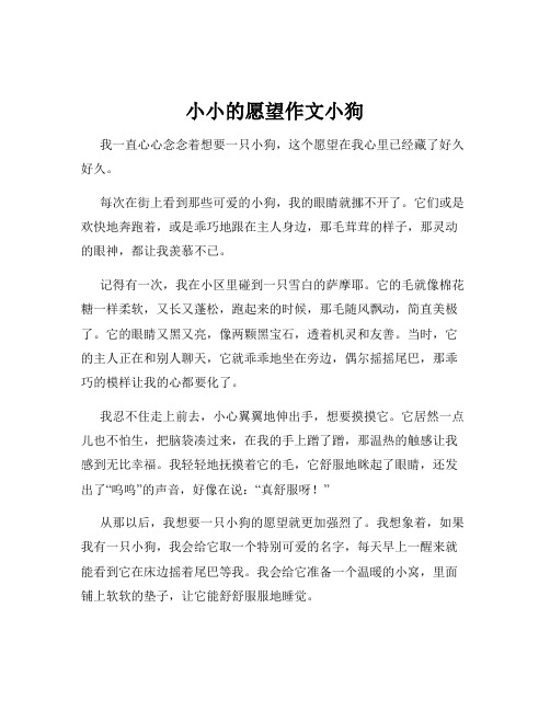 小小的愿望作文小狗