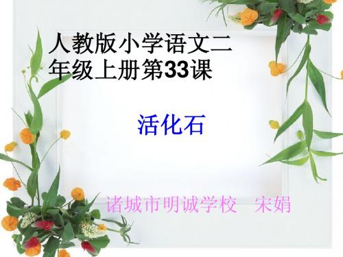 活化石_宋娟.ppt