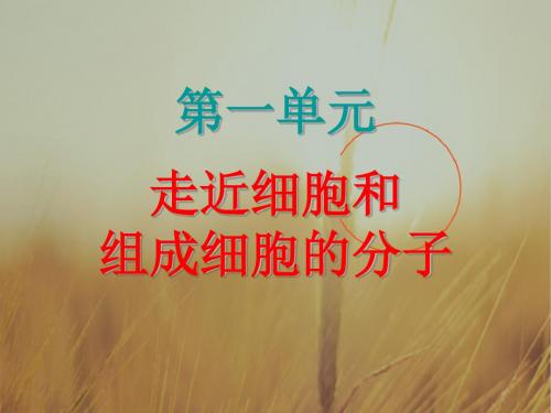 高中生物课件-2018届高考生物第一轮单元教学分析复习3 最新
