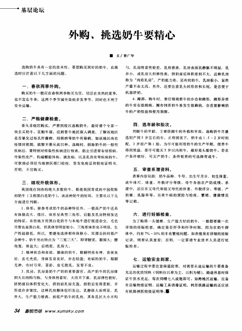 外购、挑选奶牛要精心