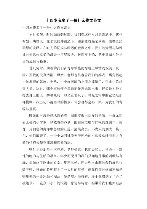 十四岁我多了一份什么作文范文