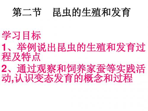 八年级生物第七单元第一章第二节昆虫的生殖和发育