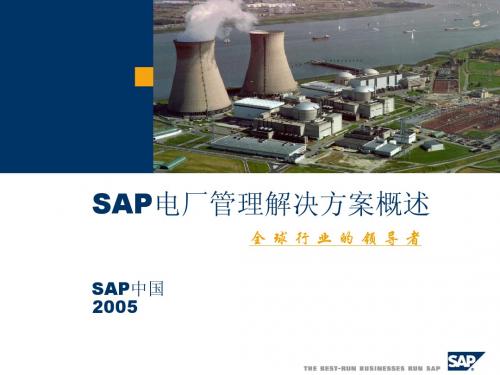 SAP_电厂管理解决方案