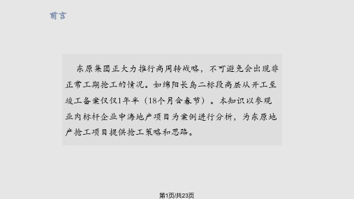 高周转战略下抢工项目工程抢工策略PPT课件