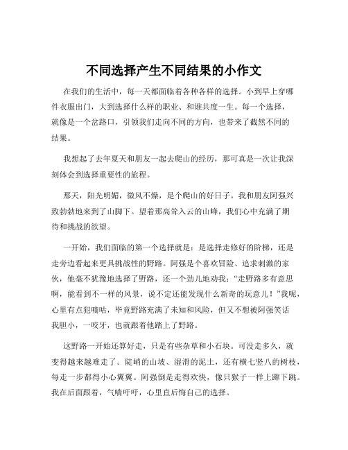 不同选择产生不同结果的小作文