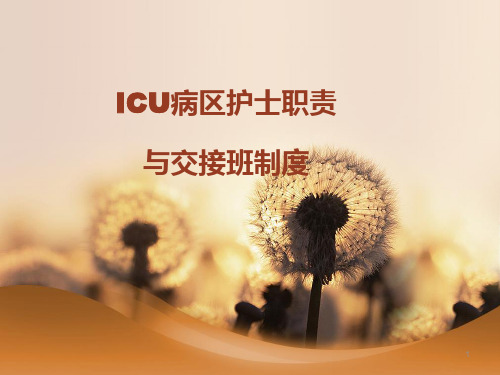 ICU病区交接班程序ppt课件